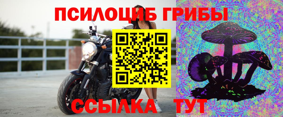 Псилоцибиновые грибы ЛСД Бутурлиновка